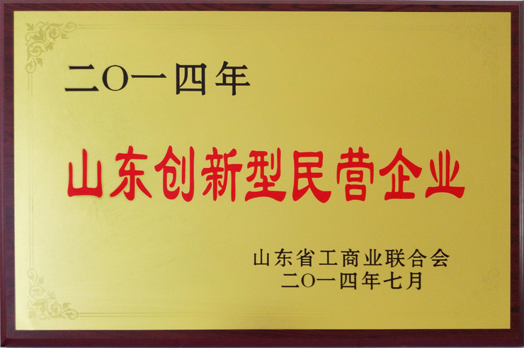 山東工商業(yè)聯(lián)合會(huì)頒發(fā)：山東創(chuàng)新型民營企業(yè)